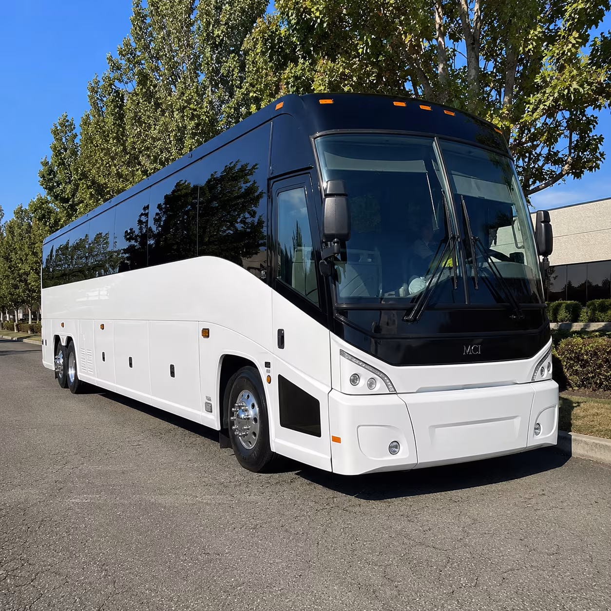 suffolk 50 passenger charter bus